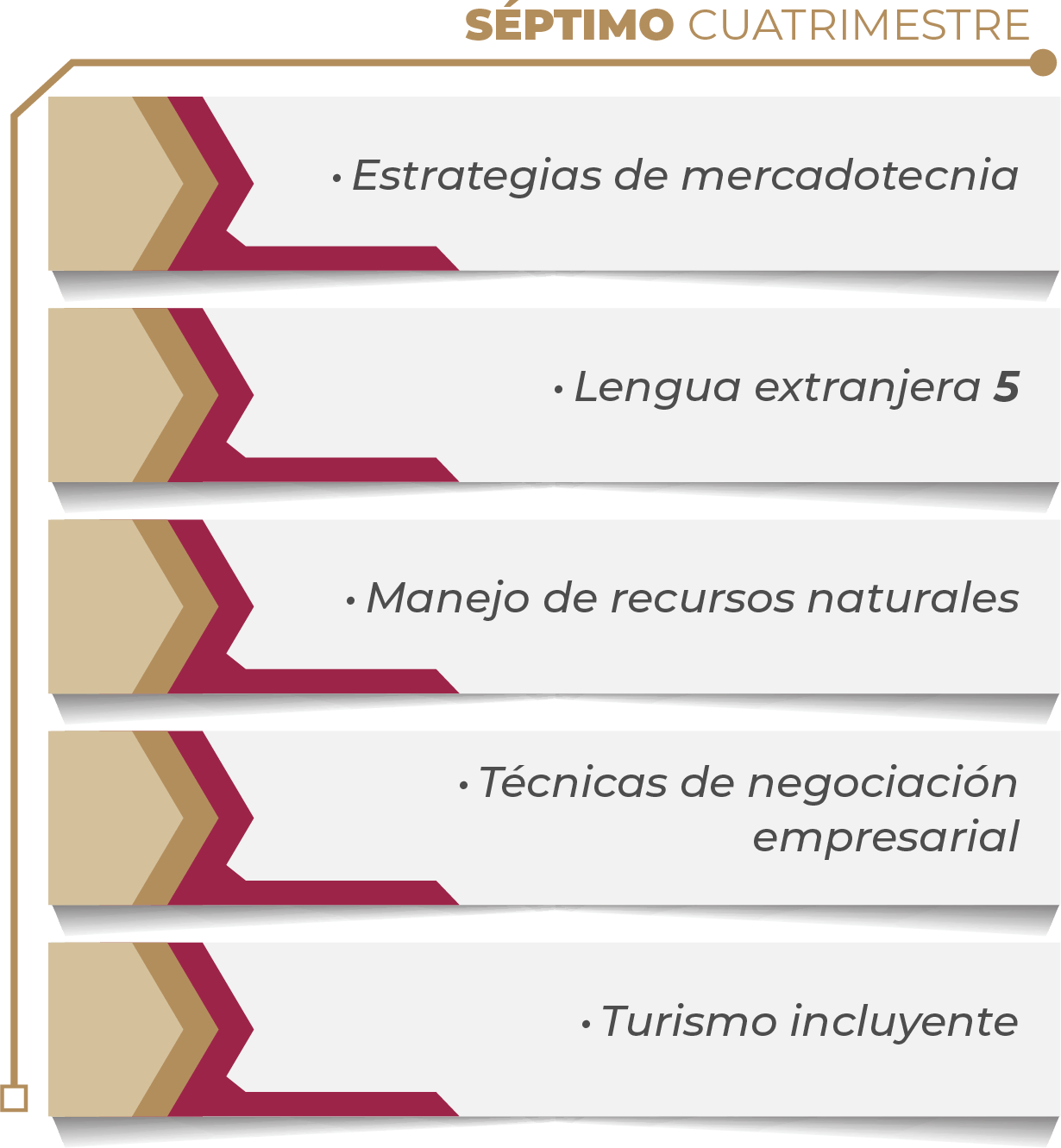 MAPA CURRICULAR SOFTWARE